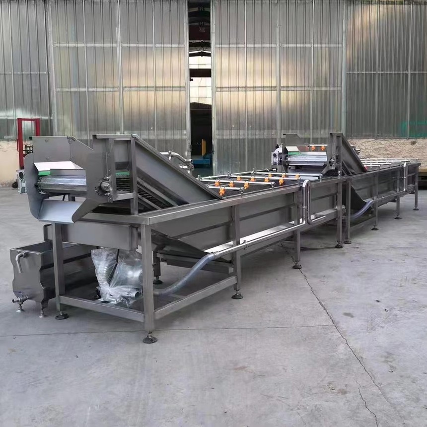 大型毛豆蒸煮機(jī)